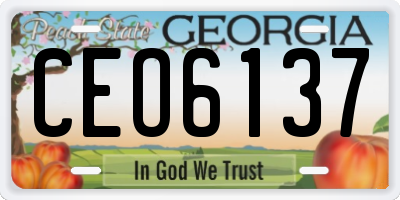 GA license plate CEO6137