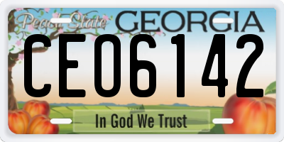 GA license plate CEO6142