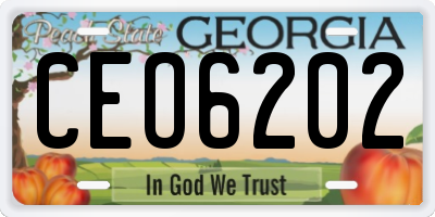 GA license plate CEO6202