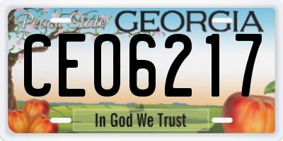 GA license plate CEO6217