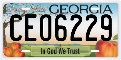 GA license plate CEO6229
