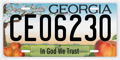 GA license plate CEO6230