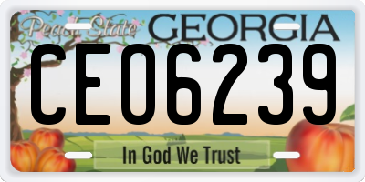 GA license plate CEO6239