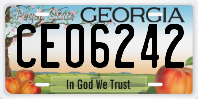 GA license plate CEO6242