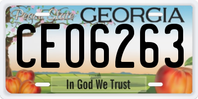 GA license plate CEO6263