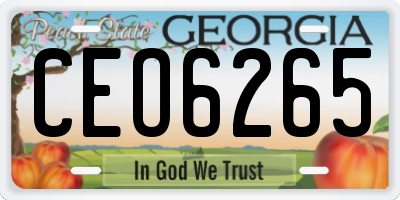GA license plate CEO6265