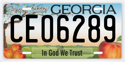GA license plate CEO6289