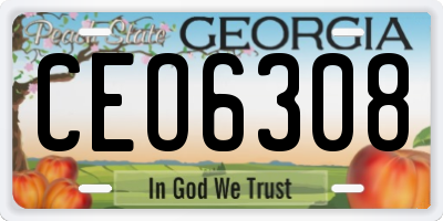 GA license plate CEO6308