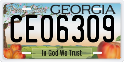 GA license plate CEO6309