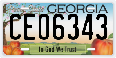 GA license plate CEO6343