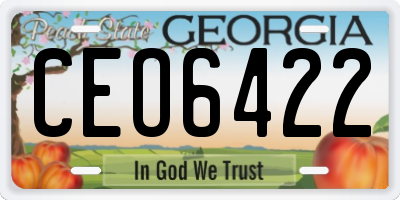 GA license plate CEO6422