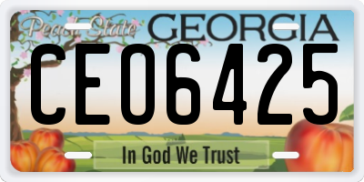 GA license plate CEO6425