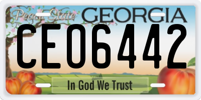 GA license plate CEO6442