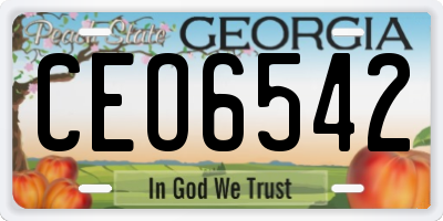 GA license plate CEO6542