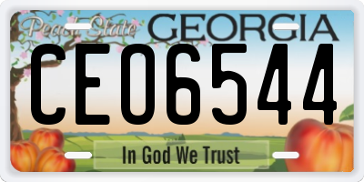 GA license plate CEO6544