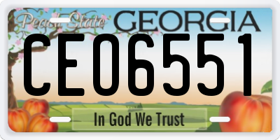 GA license plate CEO6551