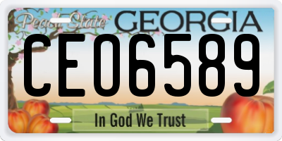 GA license plate CEO6589