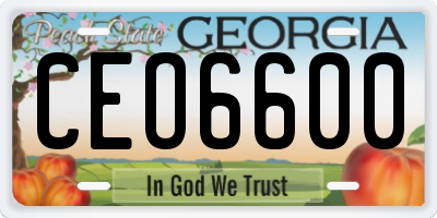 GA license plate CEO6600