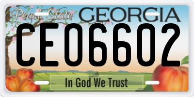 GA license plate CEO6602