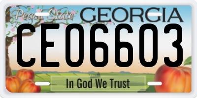 GA license plate CEO6603