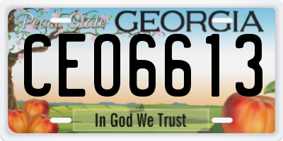 GA license plate CEO6613