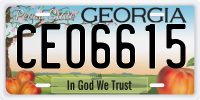 GA license plate CEO6615