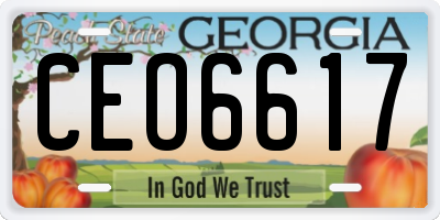 GA license plate CEO6617