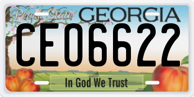 GA license plate CEO6622