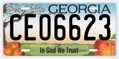 GA license plate CEO6623