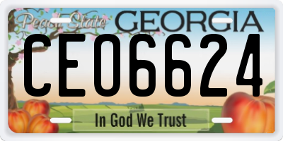 GA license plate CEO6624