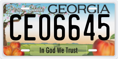 GA license plate CEO6645