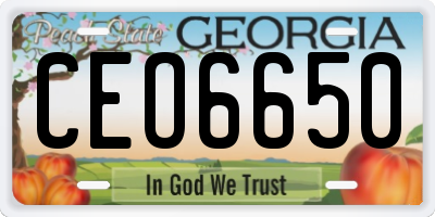 GA license plate CEO6650