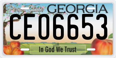 GA license plate CEO6653
