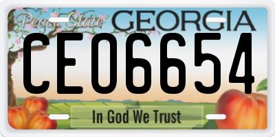 GA license plate CEO6654