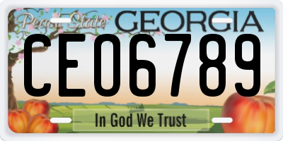 GA license plate CEO6789