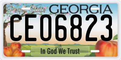 GA license plate CEO6823