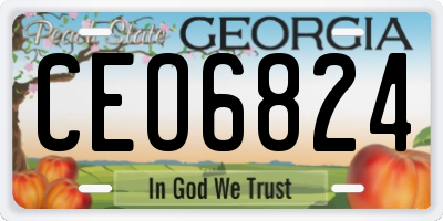 GA license plate CEO6824