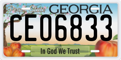 GA license plate CEO6833