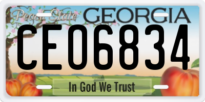 GA license plate CEO6834