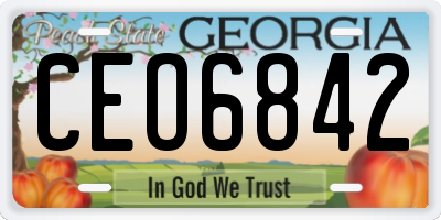 GA license plate CEO6842