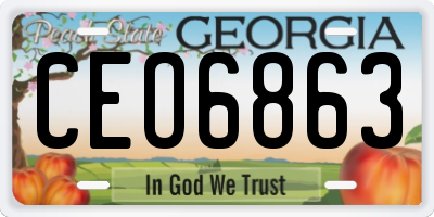 GA license plate CEO6863