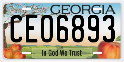 GA license plate CEO6893