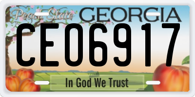 GA license plate CEO6917