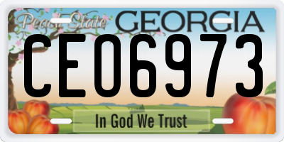 GA license plate CEO6973