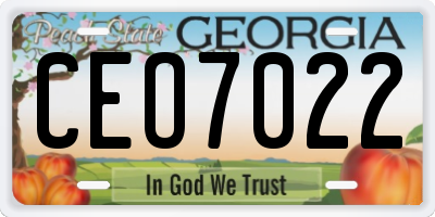 GA license plate CEO7022