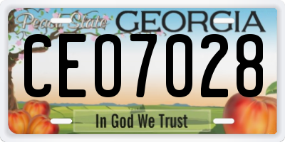 GA license plate CEO7028