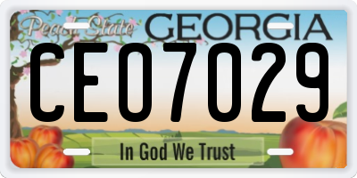 GA license plate CEO7029