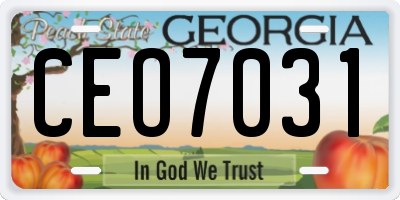 GA license plate CEO7031