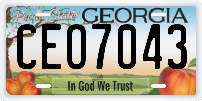 GA license plate CEO7043