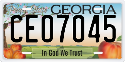 GA license plate CEO7045